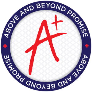 APM_promise-seal_DEC2024