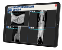 DR Solutions-3