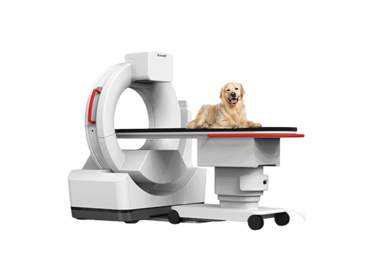 Detect Dog Resized (1)