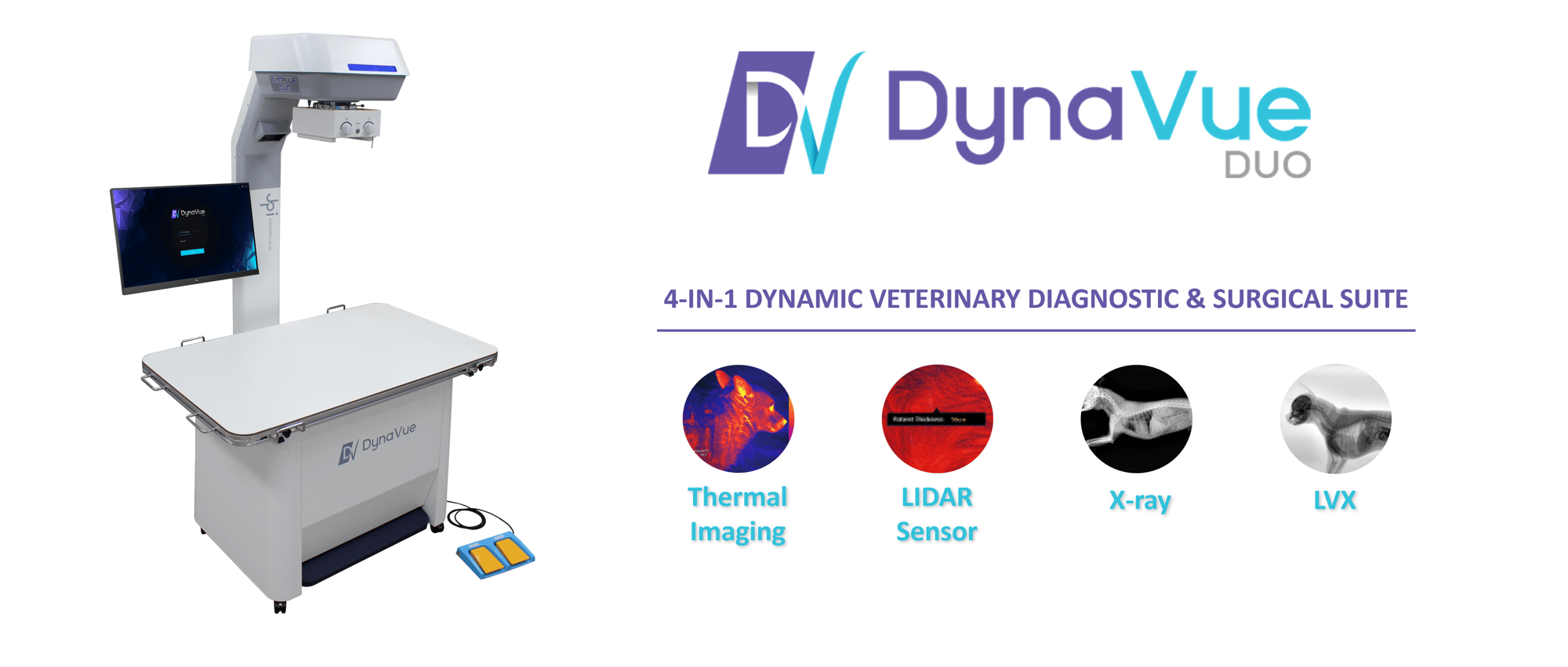 DynaVue Web IMage