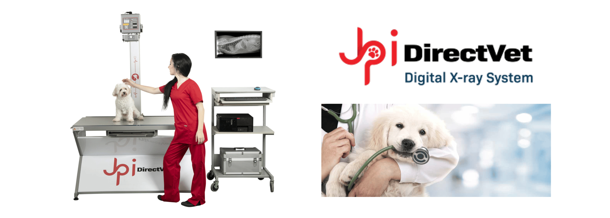 JPI DirectVet-2