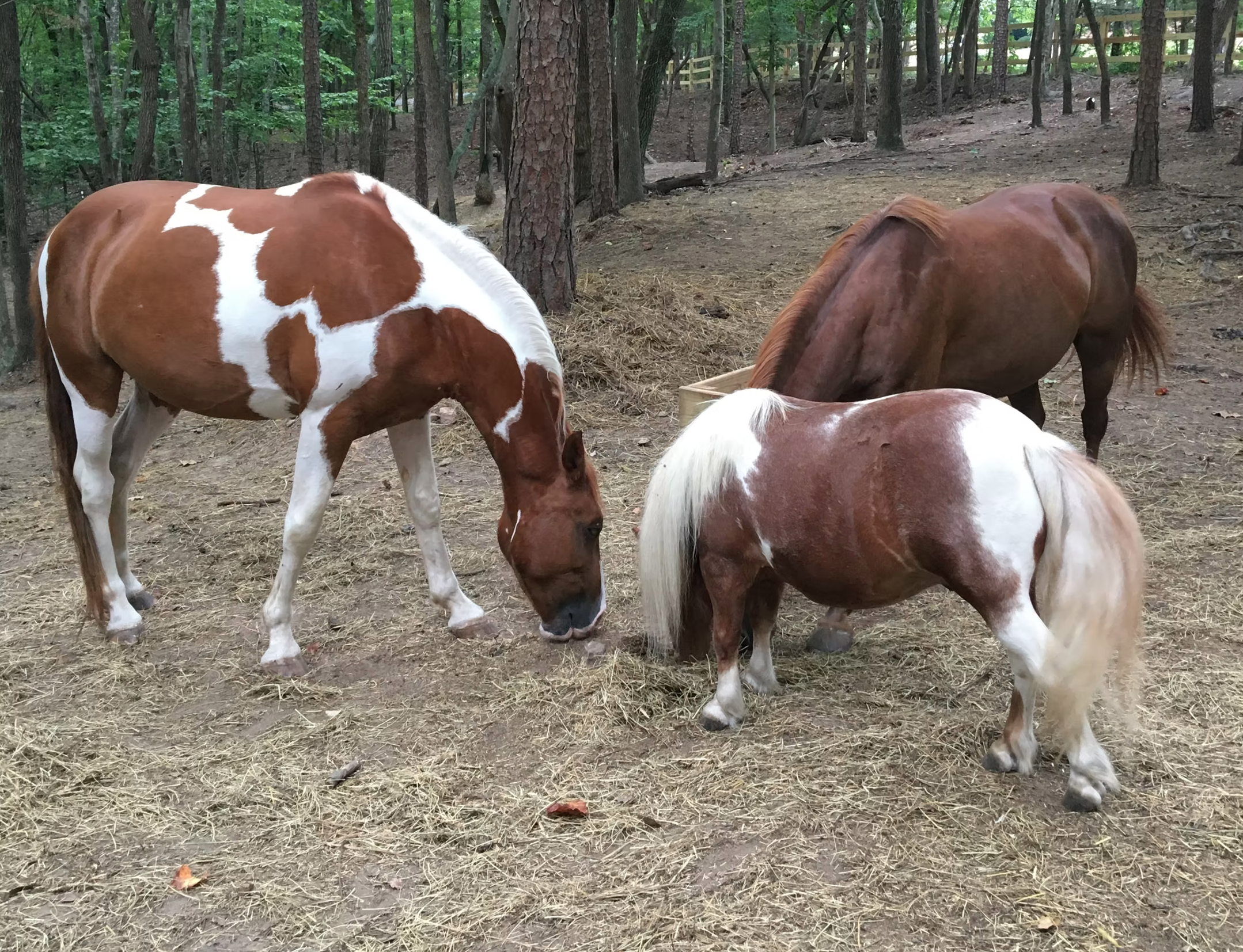 Screenshot 2026-04-13 at 3.14.15 PM