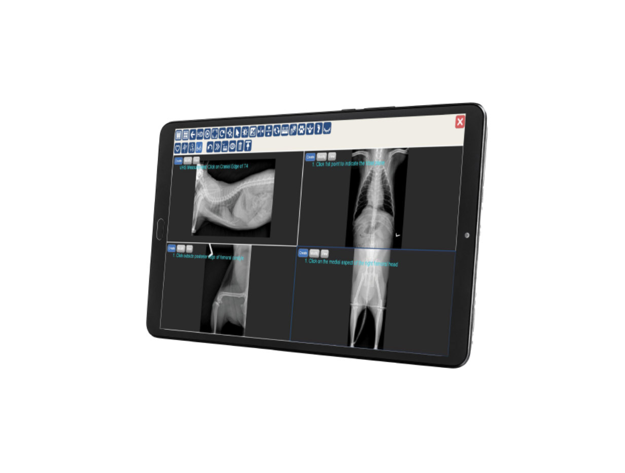 DR Solutions Resized