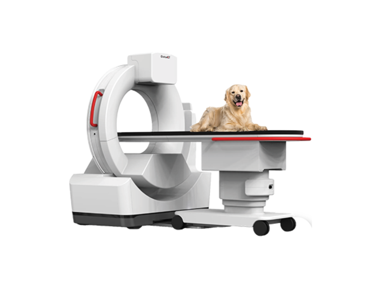 DeteCT Vet Dog